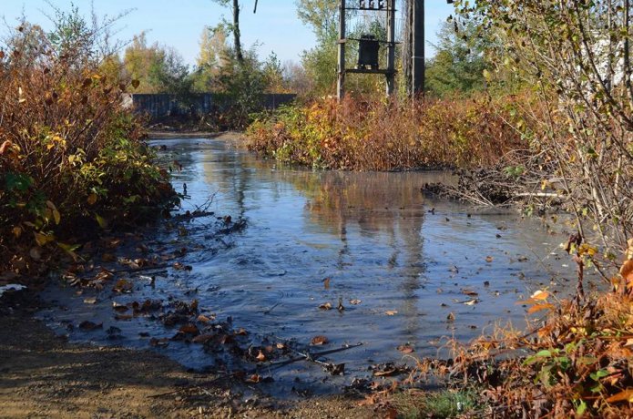 Accident ecologic pe raul Lapus, din Maramures